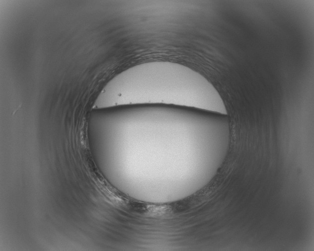 X0000077370185200610201024