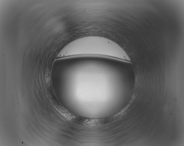 X0000077370186200610201024