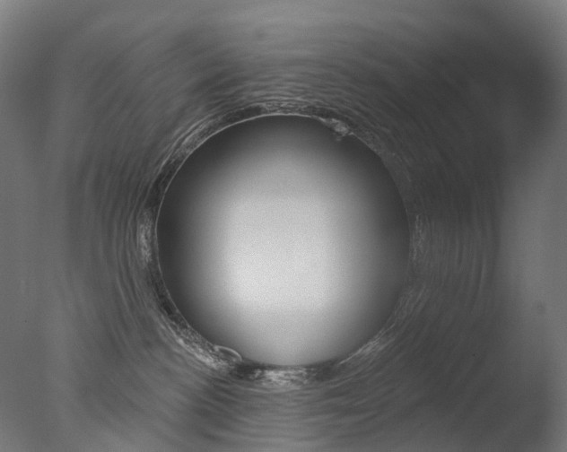 X0000077370188200610201024