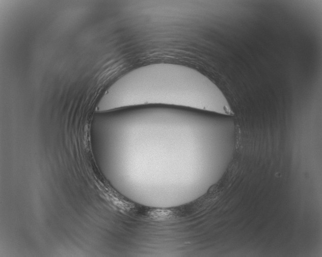 X0000077370189200610201024