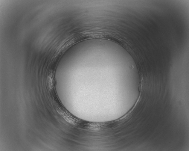 X0000077370190200610201024