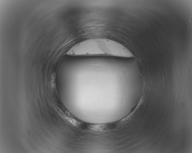 X0000077370191200610201024