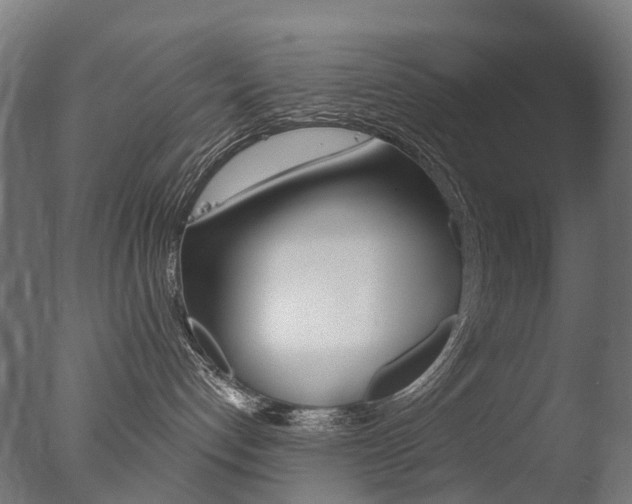 X0000077370192200610201024