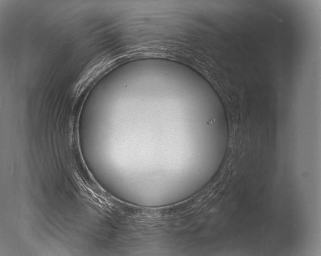 X0000077370194200610201023