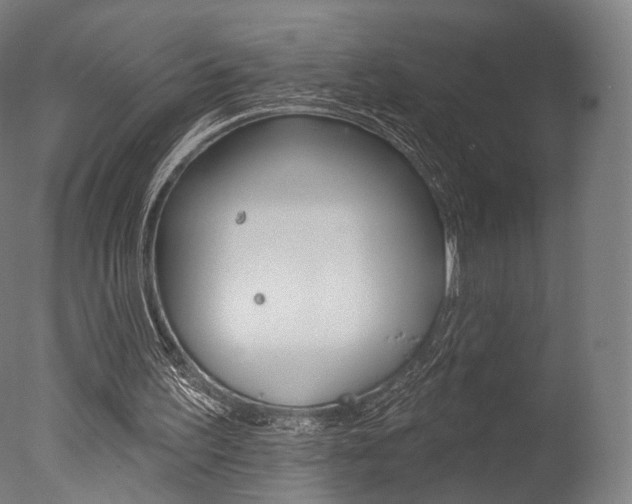 X0000077370195200610201023