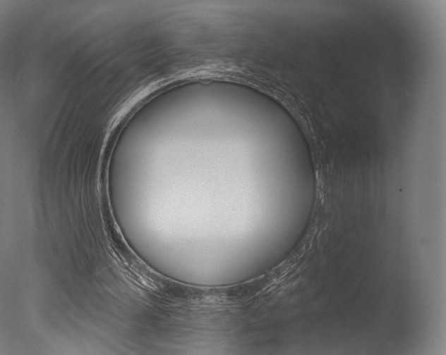 X0000077370196200610201023