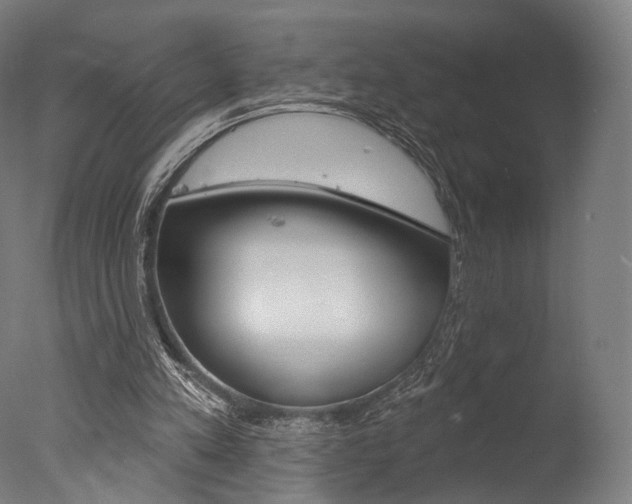 X0000077370197200610201023