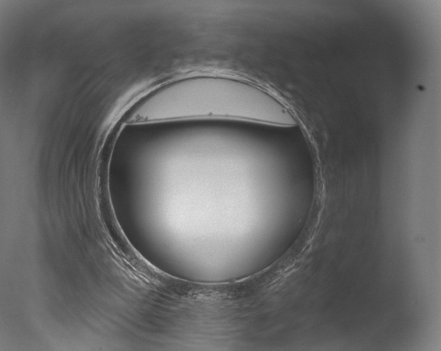 X0000077370199200610201023