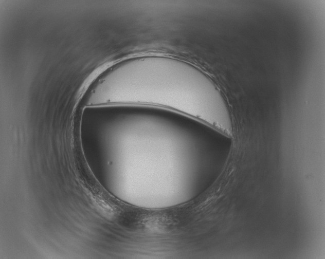 X0000077370200200610201023