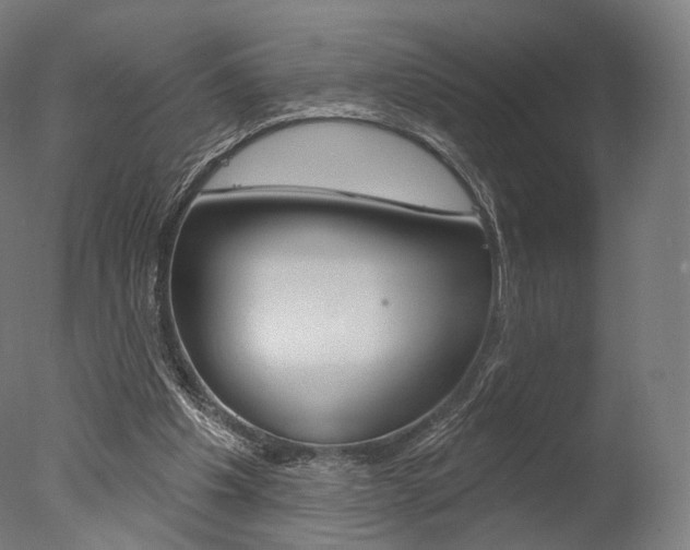 X0000077370201200610201023