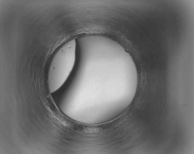 X0000077370202200610201023