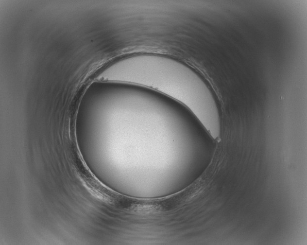 X0000077370205200610201023