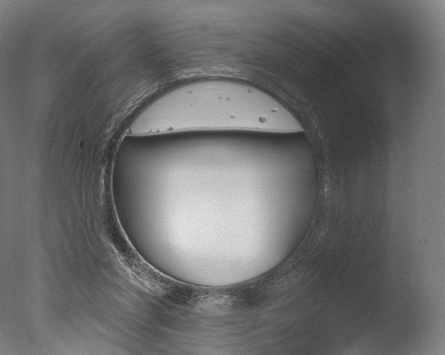 X0000077370206200610201023