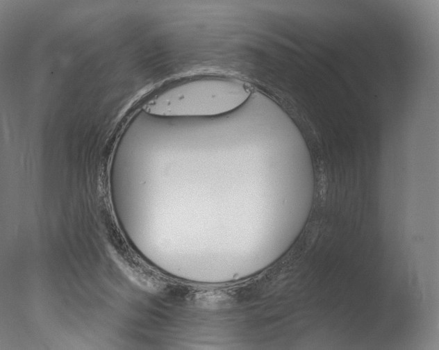 X0000077370208200610201023