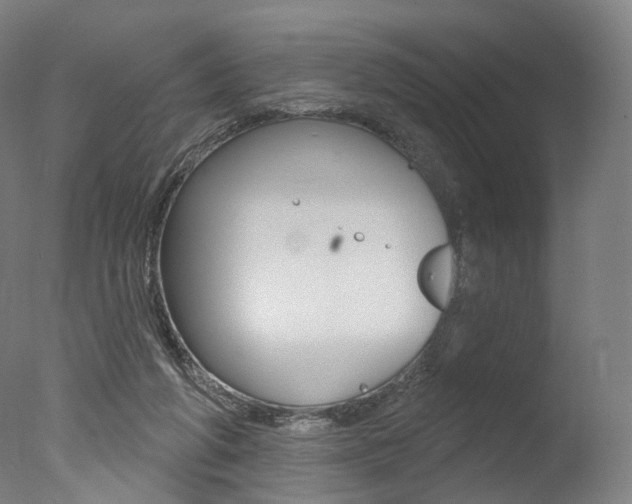 X0000077370210200610201023