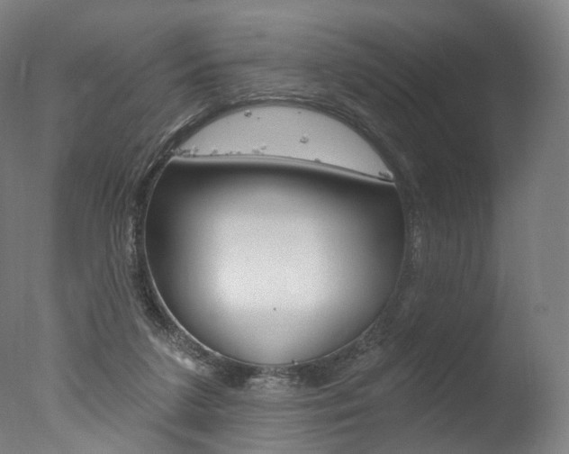 X0000077370211200610201023