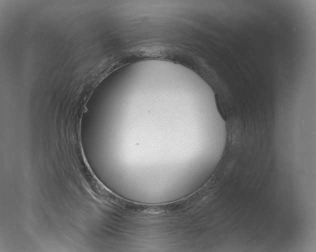 X0000077370213200610201023