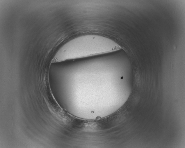 X0000077370214200610201023