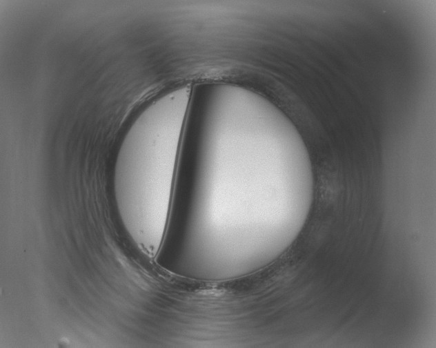 X0000077370216200610201023