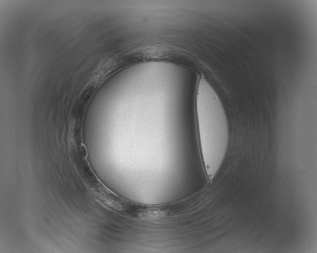 X0000077370217200610201023