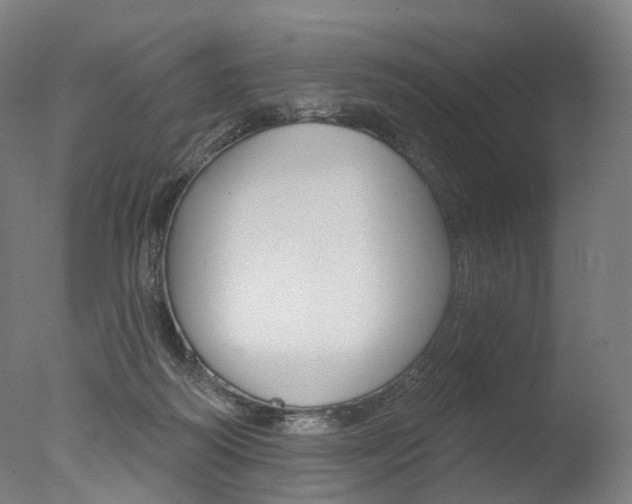 X0000077370218200610201023