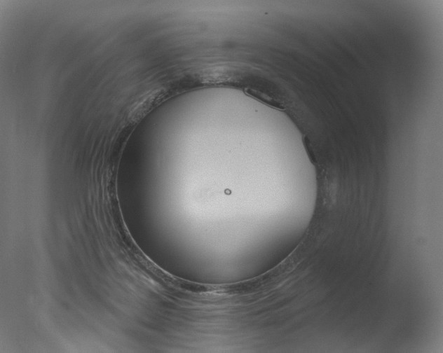 X0000077370219200610201023