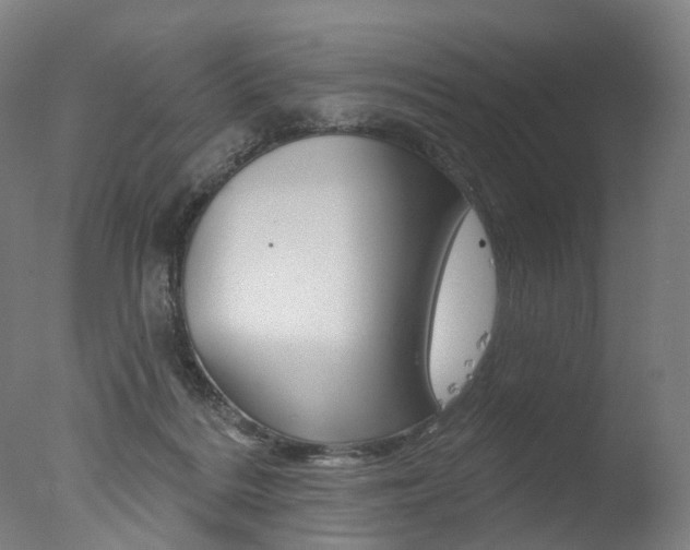 X0000077370220200610201022