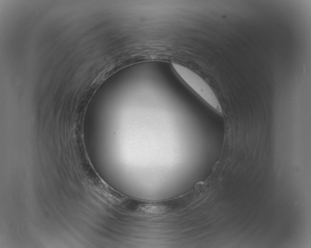 X0000077370221200610201022