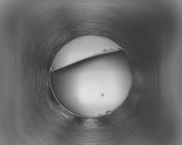 X0000077370222200610201022