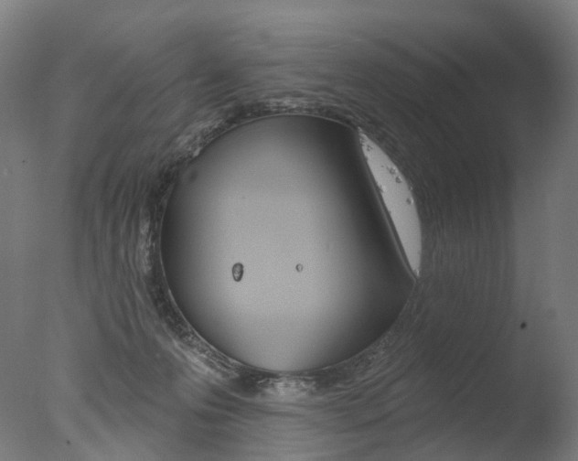 X0000077370223200610201022