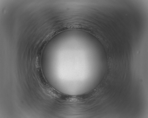 X0000077370224200610201022