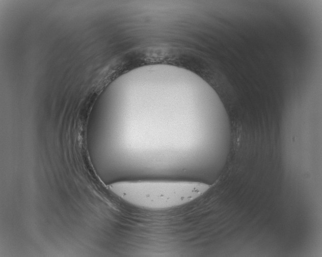 X0000077370226200610201022