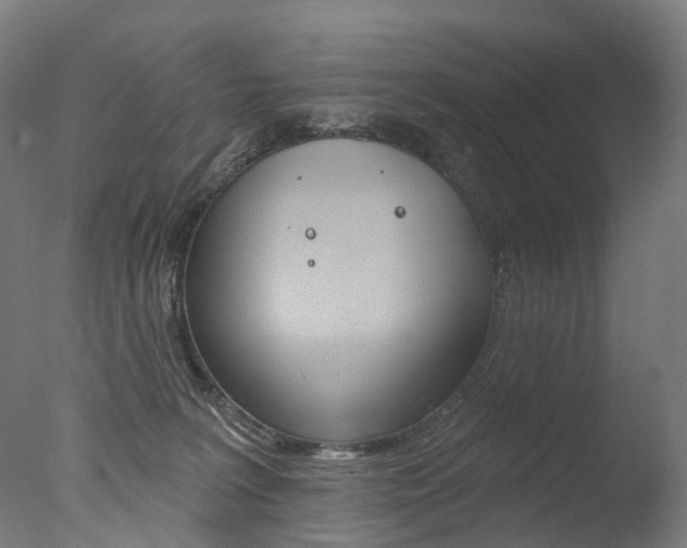 X0000077370227200610201022