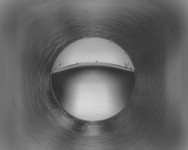 X0000077370228200610201022