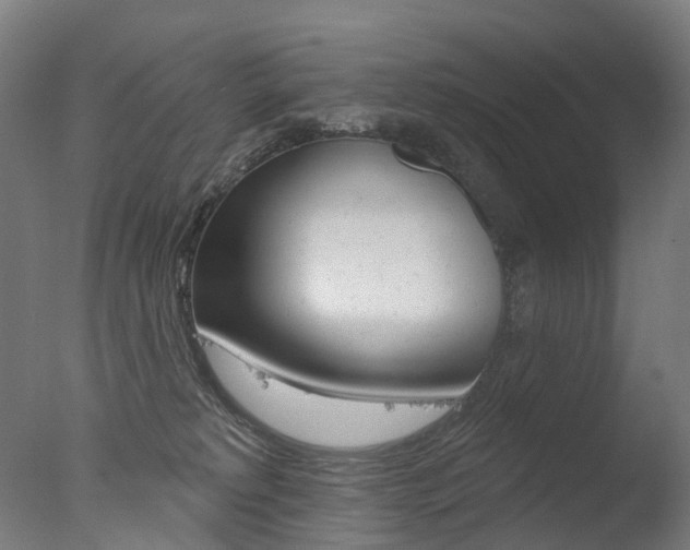 X0000077370229200610201022