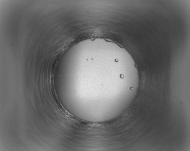 X0000077370230200610201022