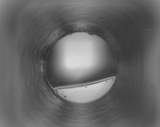 X0000077370232200610201022