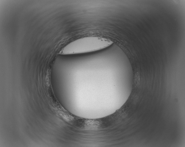 X0000077370234200610201022