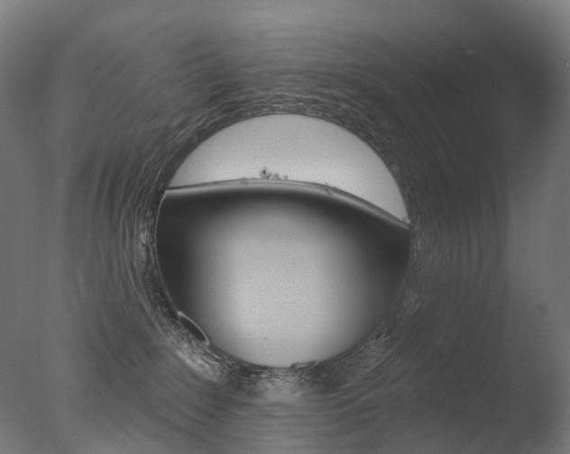 X0000077370235200610201022