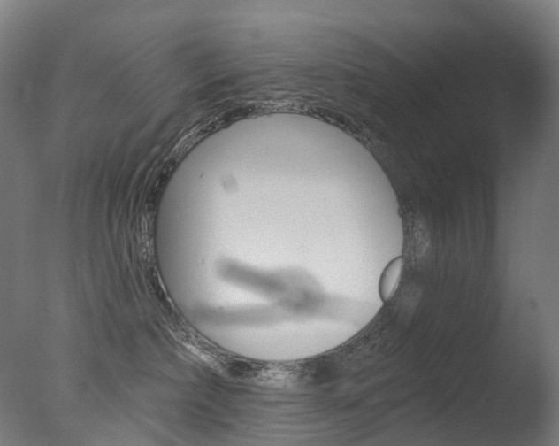 X0000077370236200610201022