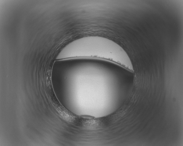 X0000077370237200610201022