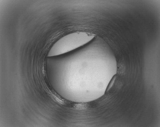 X0000077370238200610201022