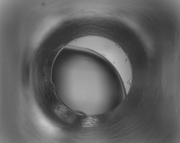 X0000077370239200610201022