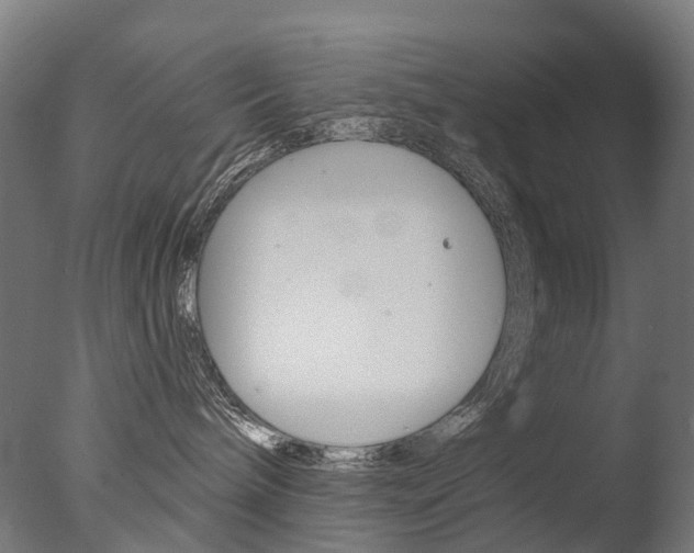 X0000077370240200610201022