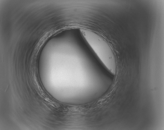 X0000077370241200610201021