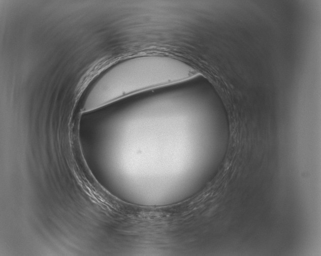 X0000077370242200610201021