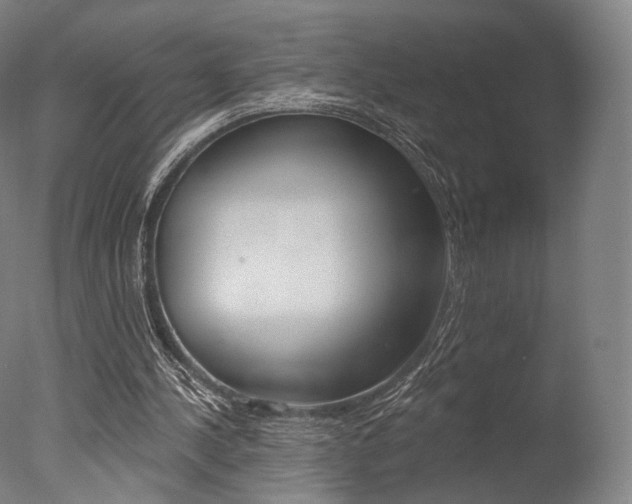 X0000077370244200610201021