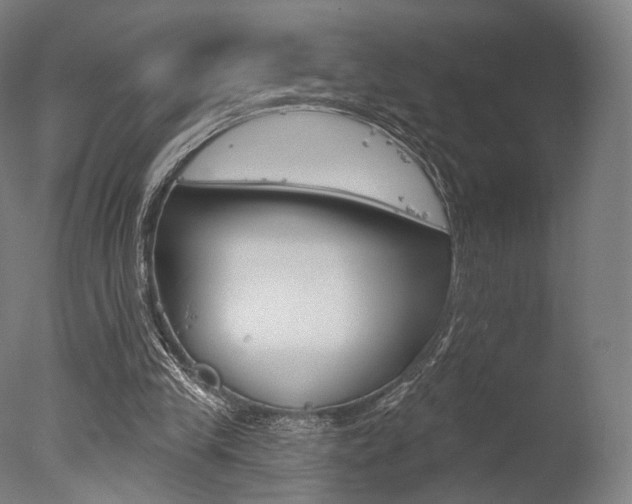 X0000077370245200610201021