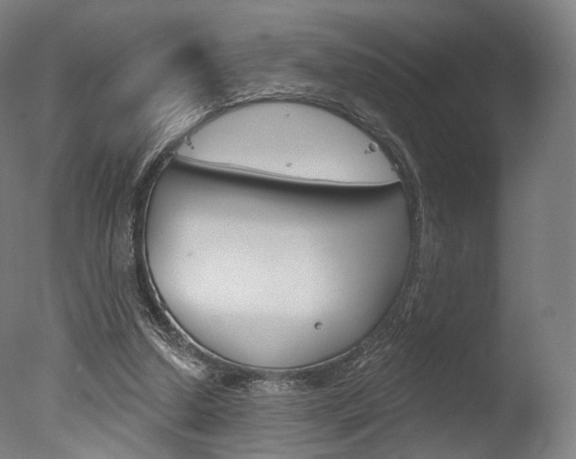 X0000077370250200610201021