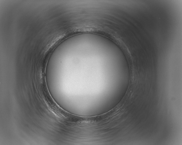 X0000077370251200610201022